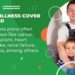 Critical Illness Cover 2025 Guide | Insurance Hero