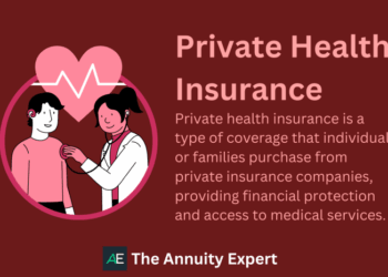 Understanding Private Health Insurance: The Basics (2024)