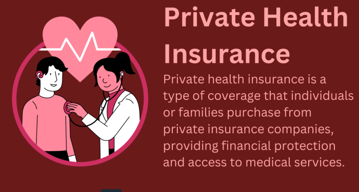 Understanding Private Health Insurance: The Basics (2024)