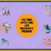 What Factors Affect Your Life Insurance Premiums? | The Policy Explainer
